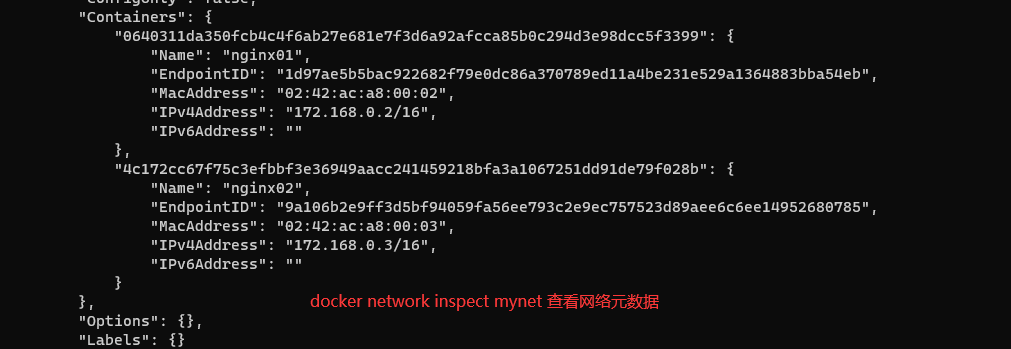 docker-cmd-info3